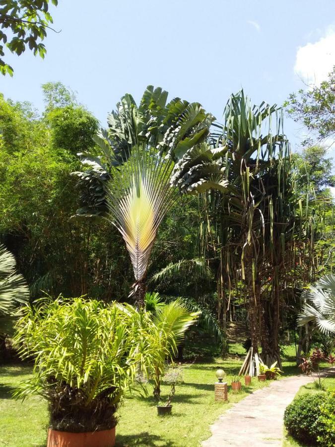 Beautiful Flower Resort Pak Meng Exterior foto